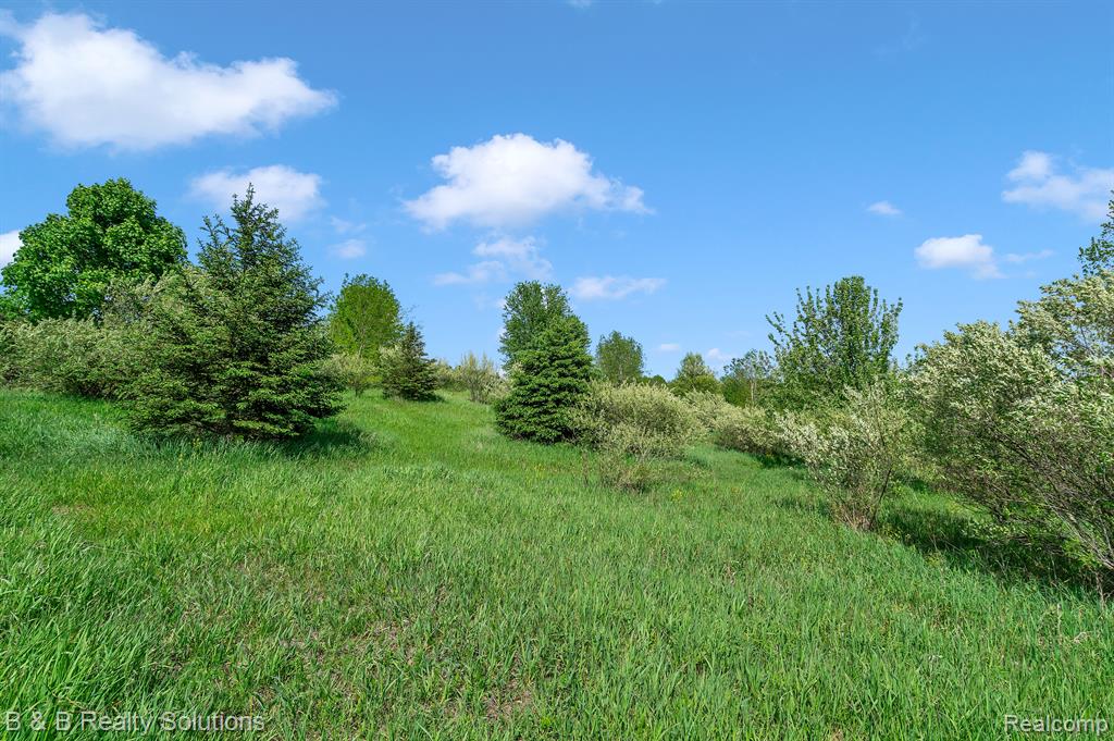 2864 N BLACKS CORNERS Road, Imlay City, MI 48444 — Photo 40