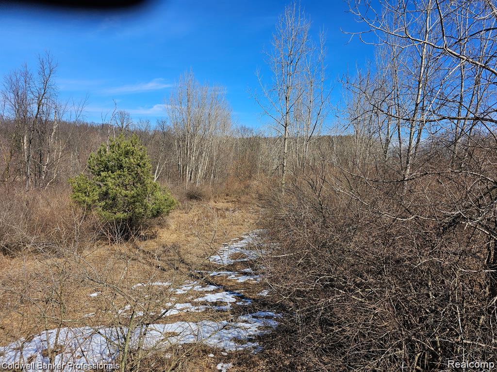 0 Jamestown Drive, Metamora, MI 48455 — Photo 14