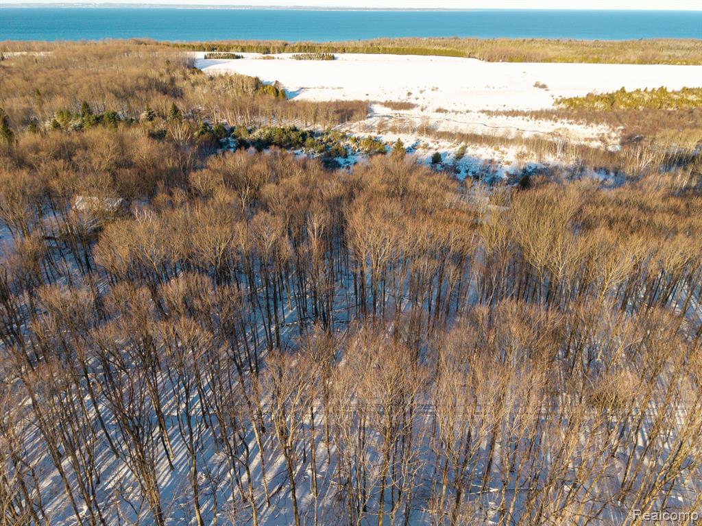 lot 4 BAY RIDGE ESTATES Drive, Ellsworth, MI 49729 — Photo 8