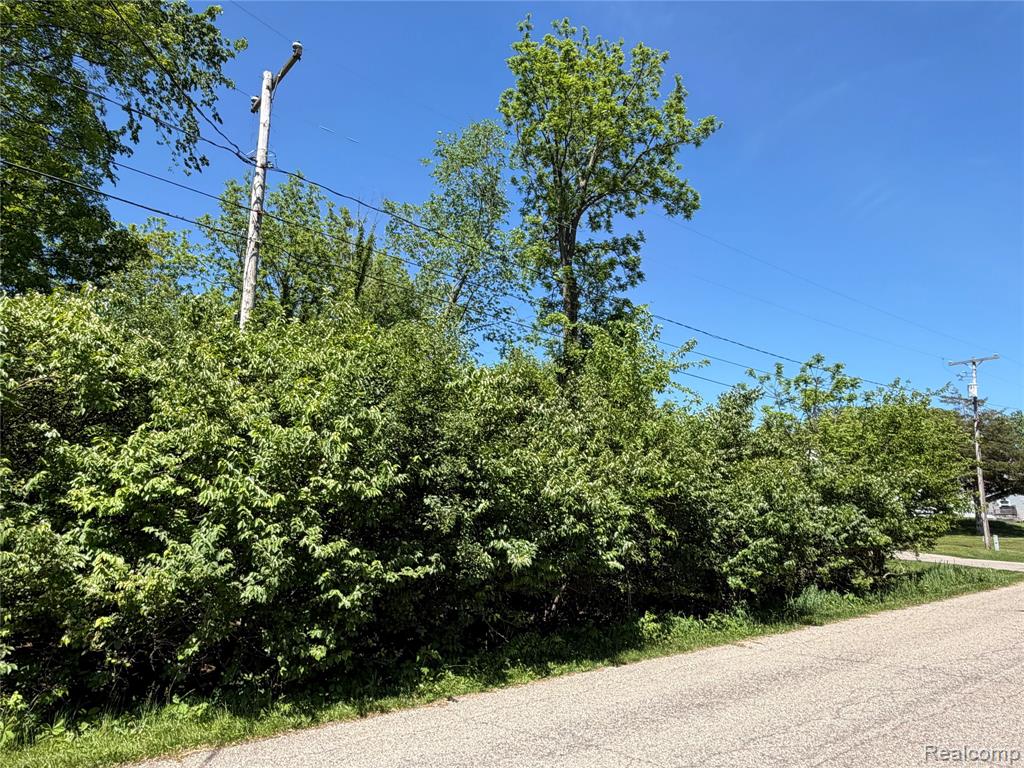 V/L Claremont Circle, Brooklyn, MI 49230 — Photo 2