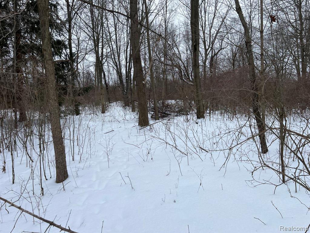 4384 Newark Road, Attica, MI 48412 — Photo 14