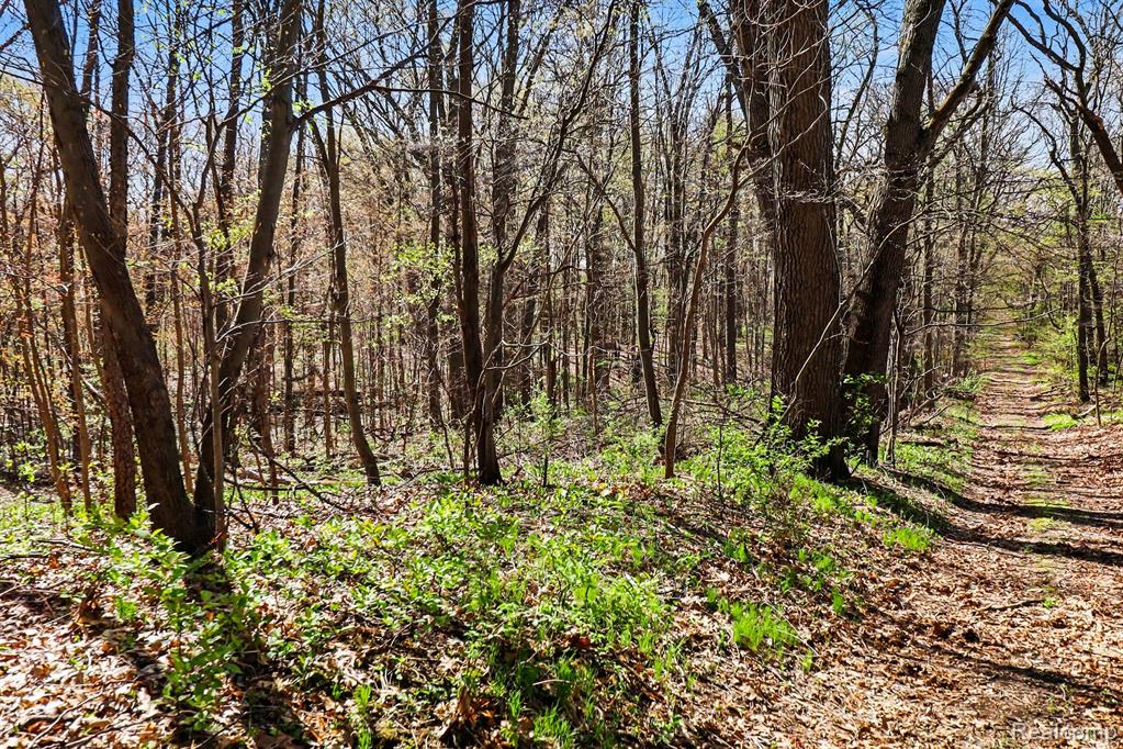 8815 Milford Road, Holly, MI 48442 — Photo 21