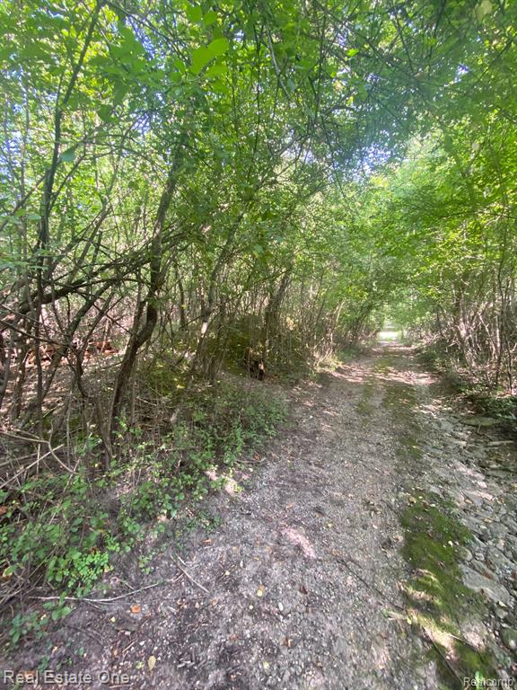 0000 Blue Jay Way, West Bloomfield, MI, 00000