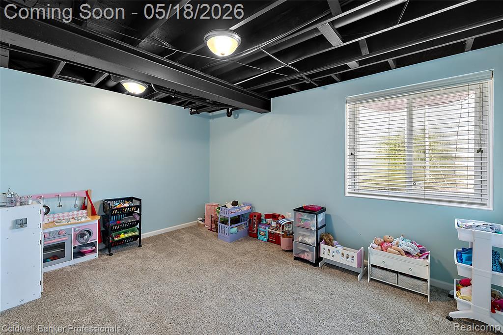 16532 Moore Park Road, Macomb, MI 48044 — Photo 28
