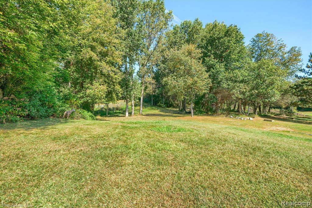 171 Elk Lake Road, Attica, MI 48412 — Photo 43