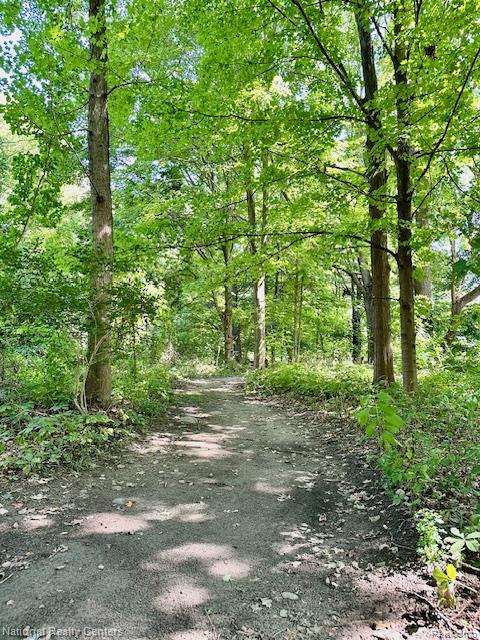 88 N Baldwin Road, Oxford, MI 48371 — Photo 15