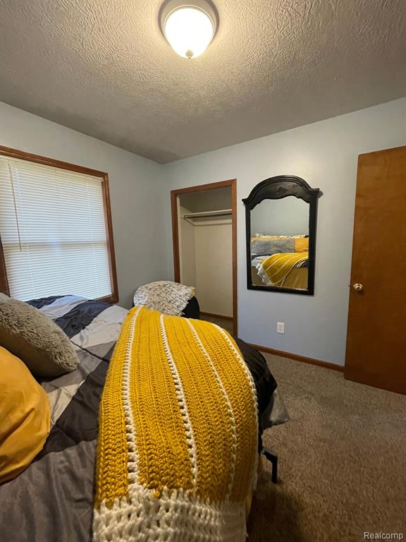411 S CLARK, Webberville, MI 48892 — Photo 12