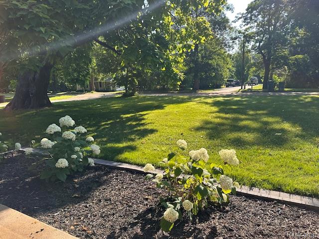 930 S Hadley Road, Ortonville, MI 48462 — Photo 8