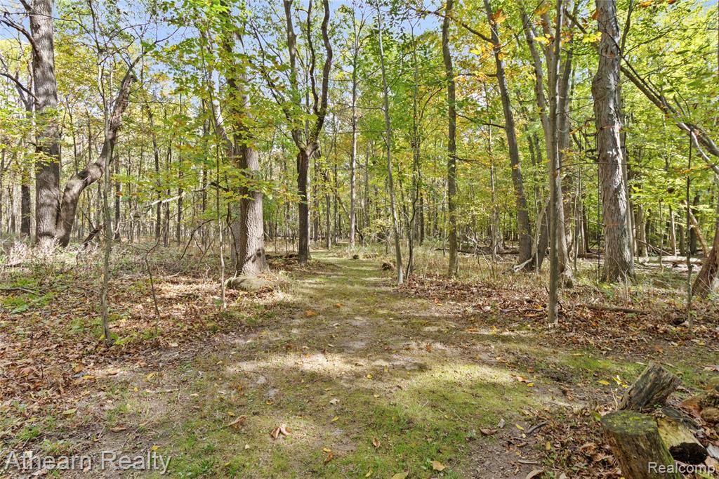 12471 Vernon Road, Bancroft, MI 48414 — Photo 21