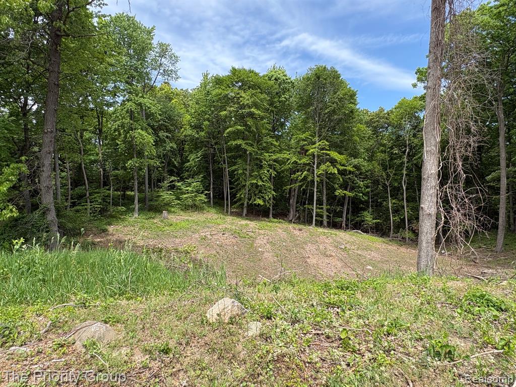 6248 E Crest Forest Court, Clarkston, MI 48348 — Photo 2