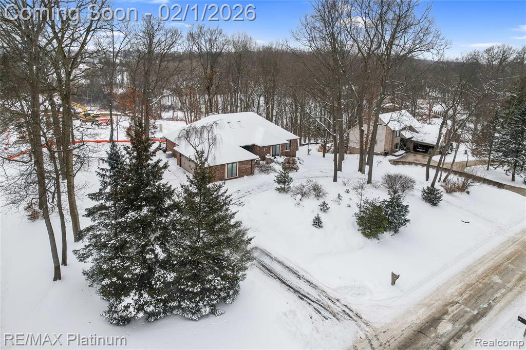 8760 Dann Drive, Brighton, MI 48114 — Photo 9