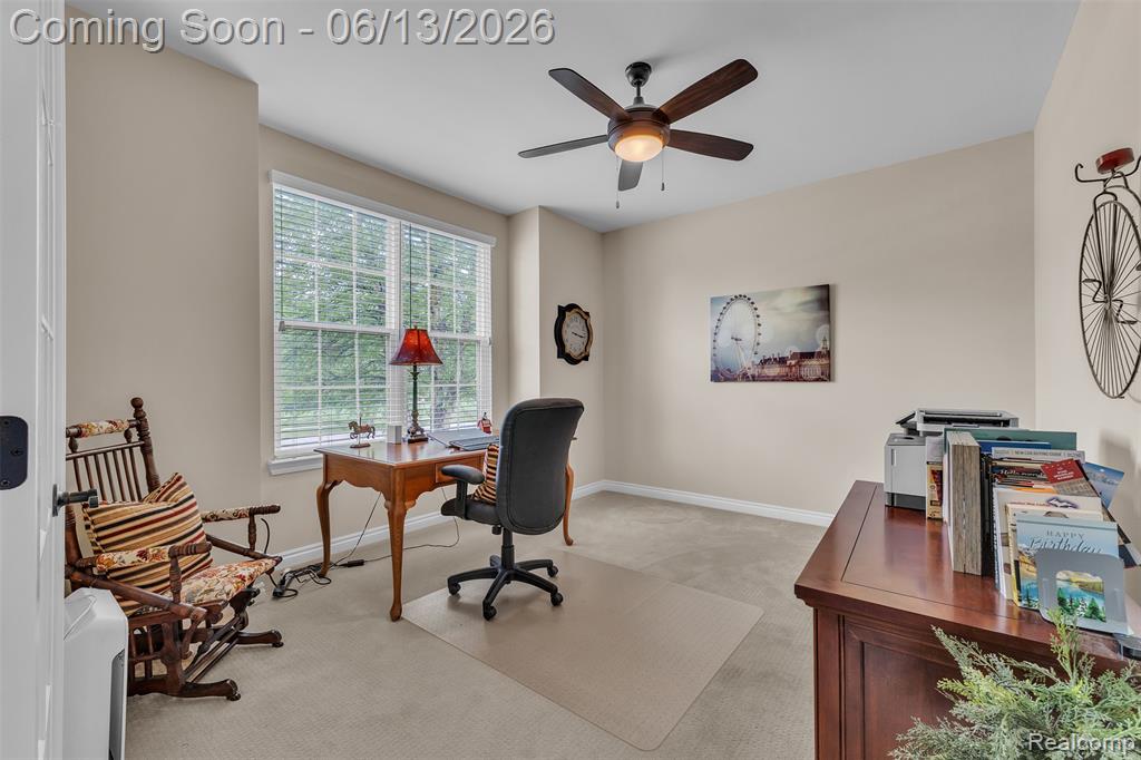 23719 Stoneleigh Drive, South Lyon, MI 48178 — Photo 33
