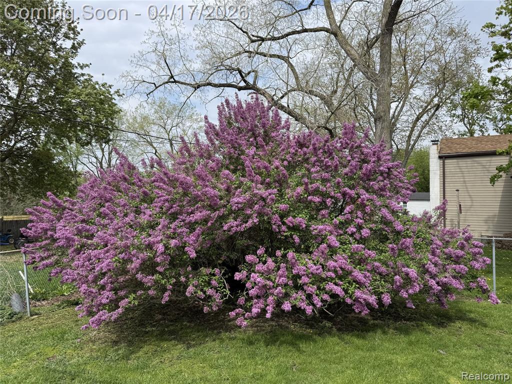 13257 Strong Boulevard, South Rockwood, MI — Photo 39