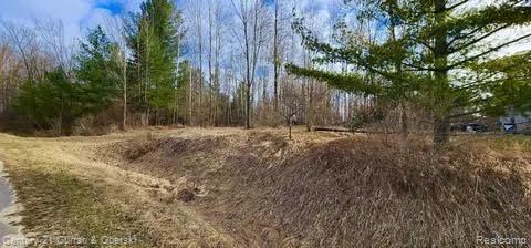 187 Greensboro Way, Gladwin, MI 48624