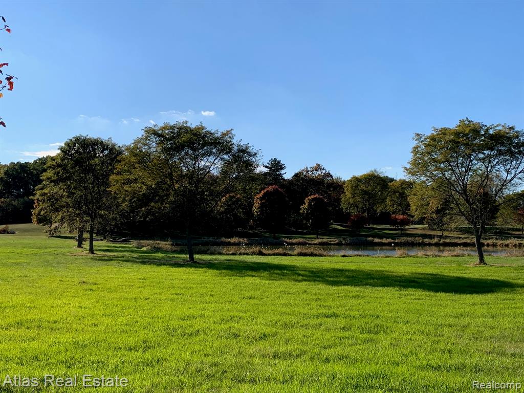 10020 Strawberry Trail, Goodrich Vlg, MI — Photo 4