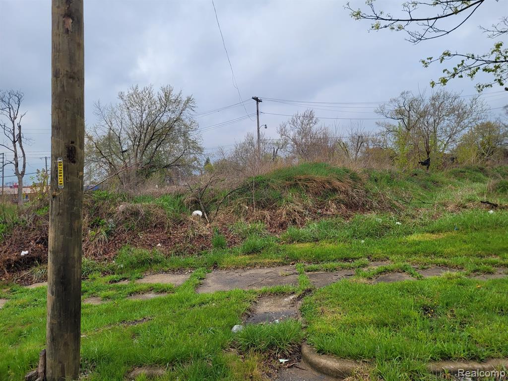 3324 ROCHESTER Street - Photo 4