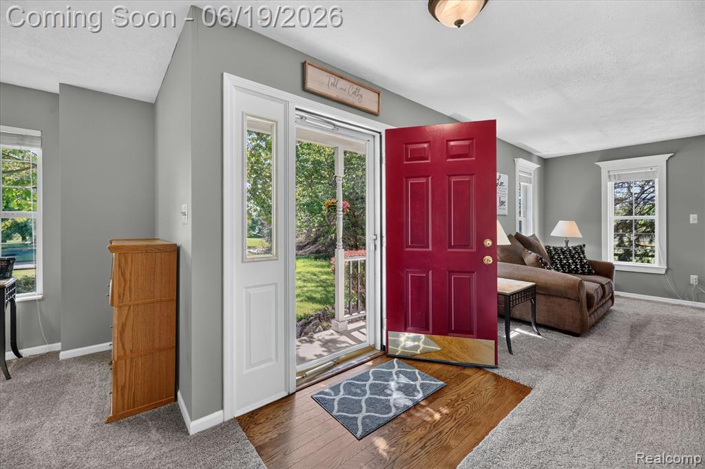 5900 Carter Court, Howell, MI 48843 — Photo 9
