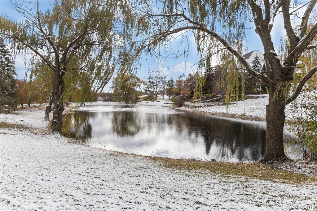 6997 Oakhurst Ridge Road, Clarkston, MI 48348 — Photo 4