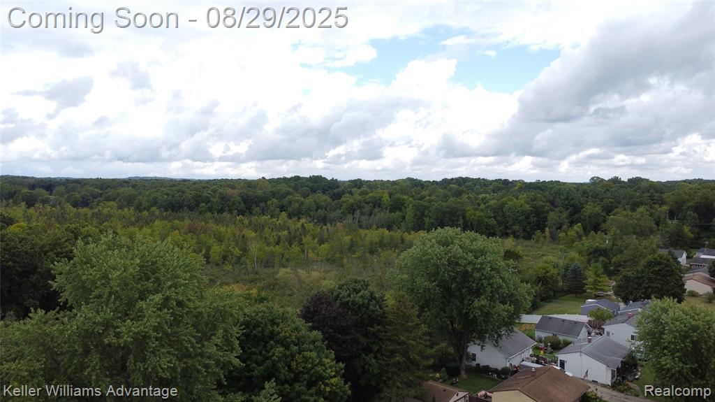 934 Prince Street, Milford, MI 48381 — Photo 59