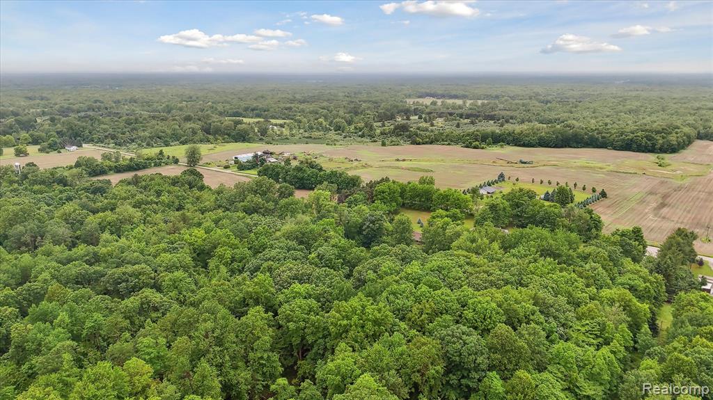 2057 W Brown Road, Mayville Vlg, MI 48744 — Photo 41