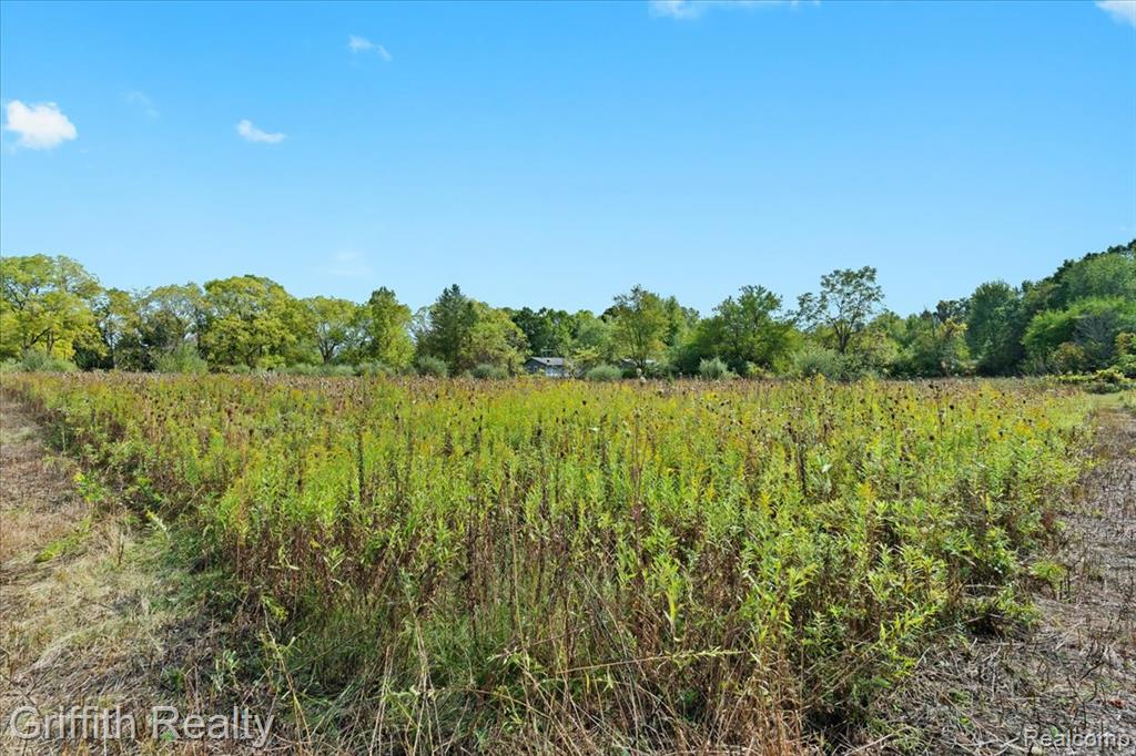 9800 Beeman Road, Chelsea, MI 48118 — Photo 4