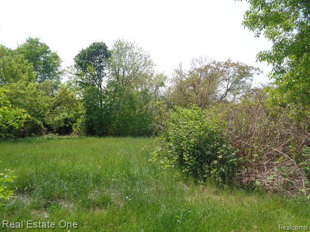 1051 CONCORD Street, Detroit, MI 48207 — Photo 2