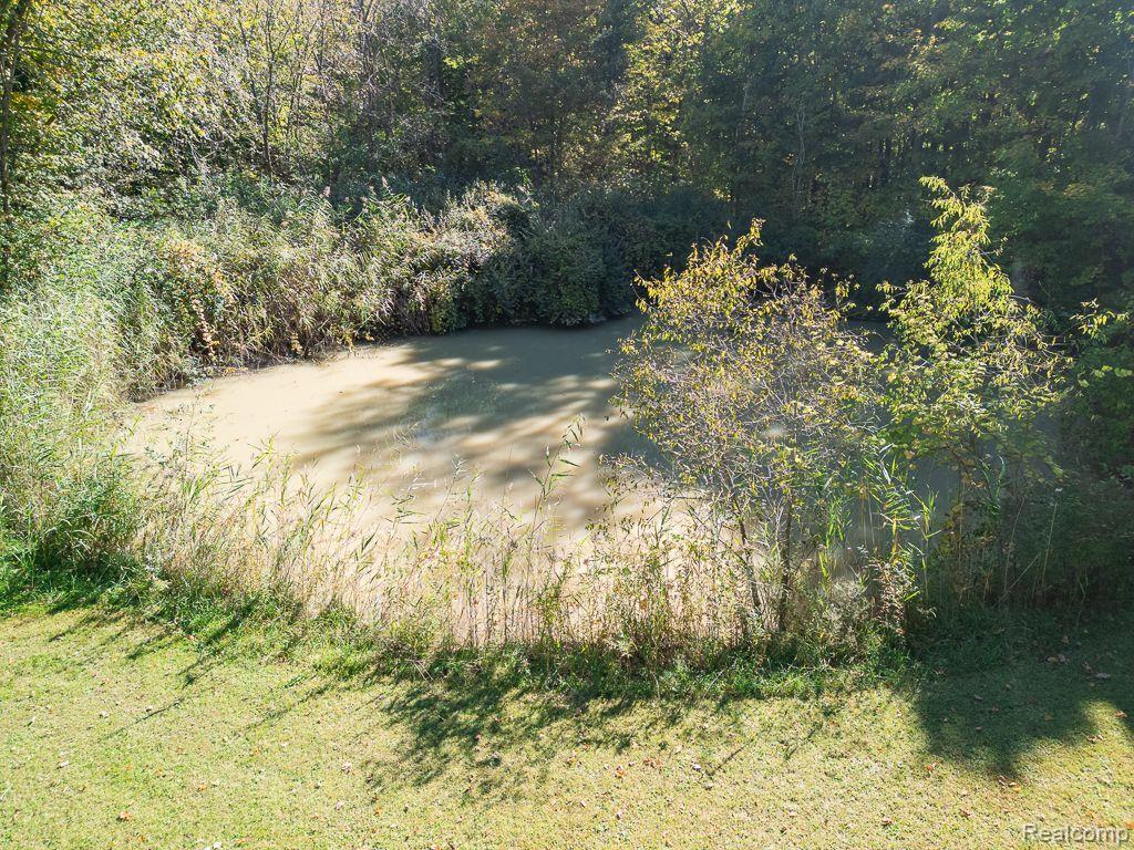 5841 STARVILLE Road, China, MI — Photo 5