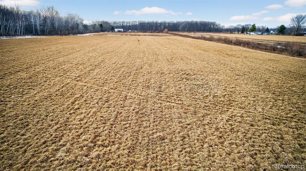 40 Acres Irish Rd, Millington, MI 48746 — Photo 8