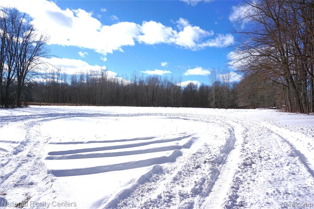 1495 Briggsville Road, Fowlerville, MI 48836 — Photo 32