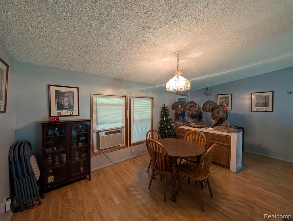 11175 S Morrice Road, Morrice, MI 48857 — Photo 13