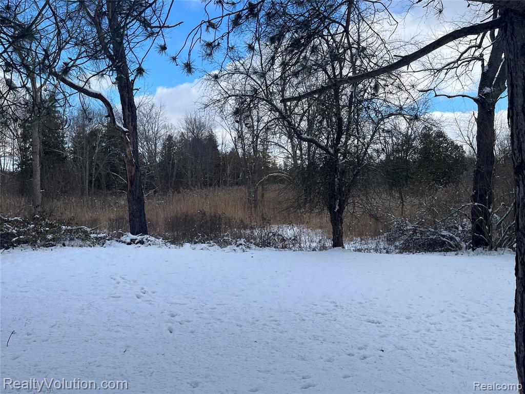 1637 S Lake Pleasant Road, Attica, MI 48412 — Photo 30