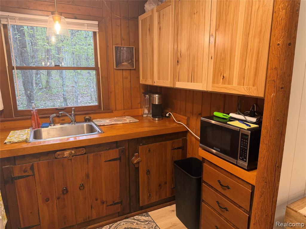 8641 Springdale Drive, Elmira, MI 49730 — Photo 13