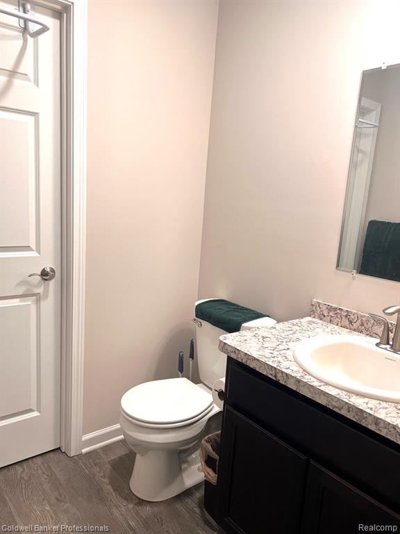 301 Saphire Street, Morrice, MI 48857 — Photo 9