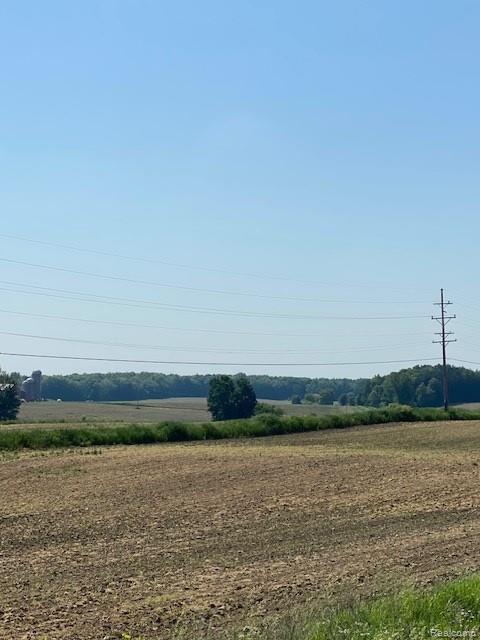 7451 Fostoria Road, Mayville Vlg, MI 48744 — Photo 16
