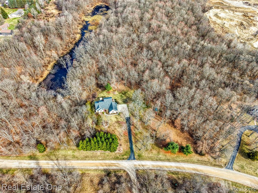 167 Forest Valley Court, Pinckney, MI 48169 — Photo 57