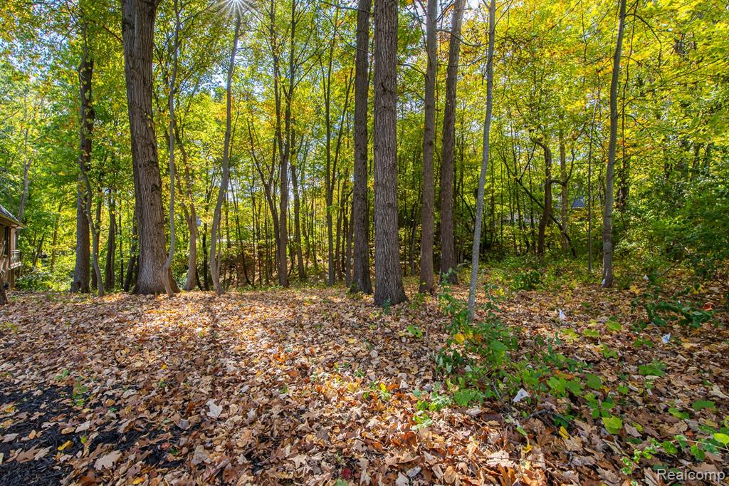 9933 Kingston Ridge, Clarkston, MI 48348 — Photo 5