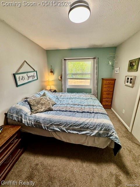 3148 Hogback Road, Fowlerville, MI 48836 — Photo 27