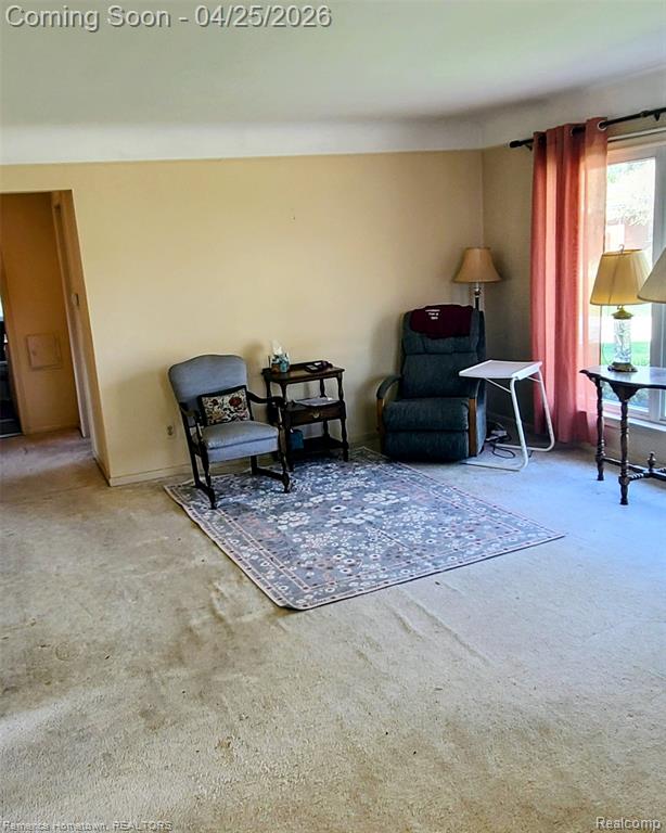 9119 Montana Court, Livonia, MI 48150 — Photo 10