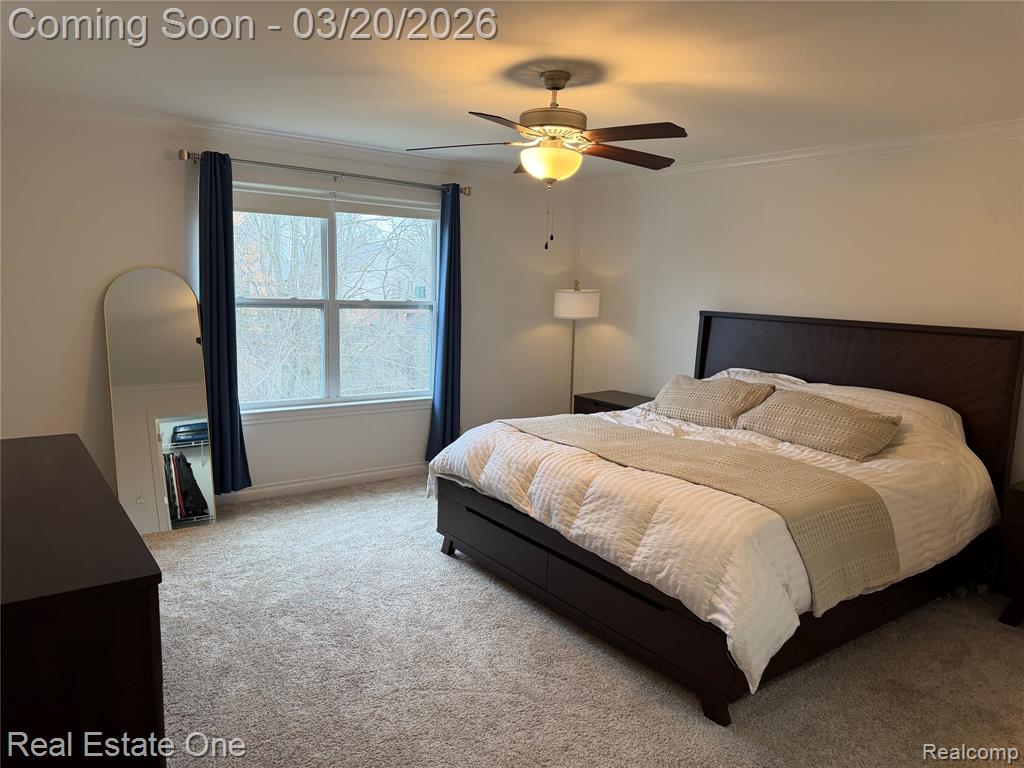 58206 Sunflower Circle N, New Hudson, MI 48165 — Photo 22