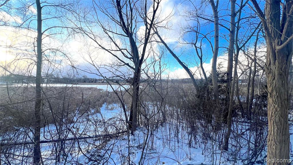 4378 Deeside Drive, Brighton, MI 48116 — Photo 11
