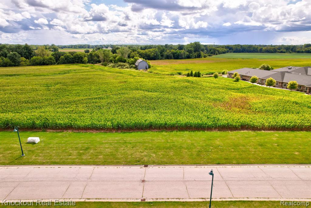 Parcel D W Rolling Hills Drive, Bridgeport, MI 48722 — Photo 3