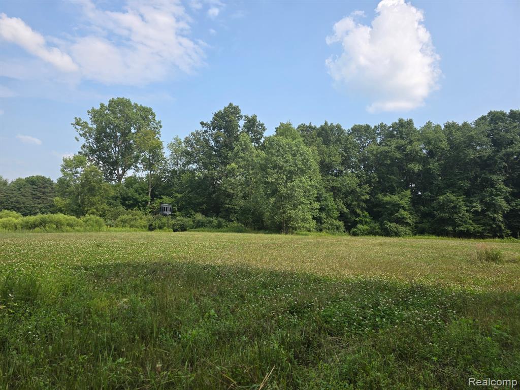 3316 Haynes Road, Leslie, MI 49251 — Photo 29
