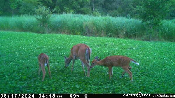 V/L BLAKE Road, Jackson, MI 49201 — Photo 77
