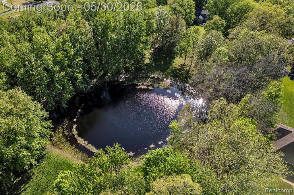 1345 Ives Road, Mason, MI 48854 — Photo 82
