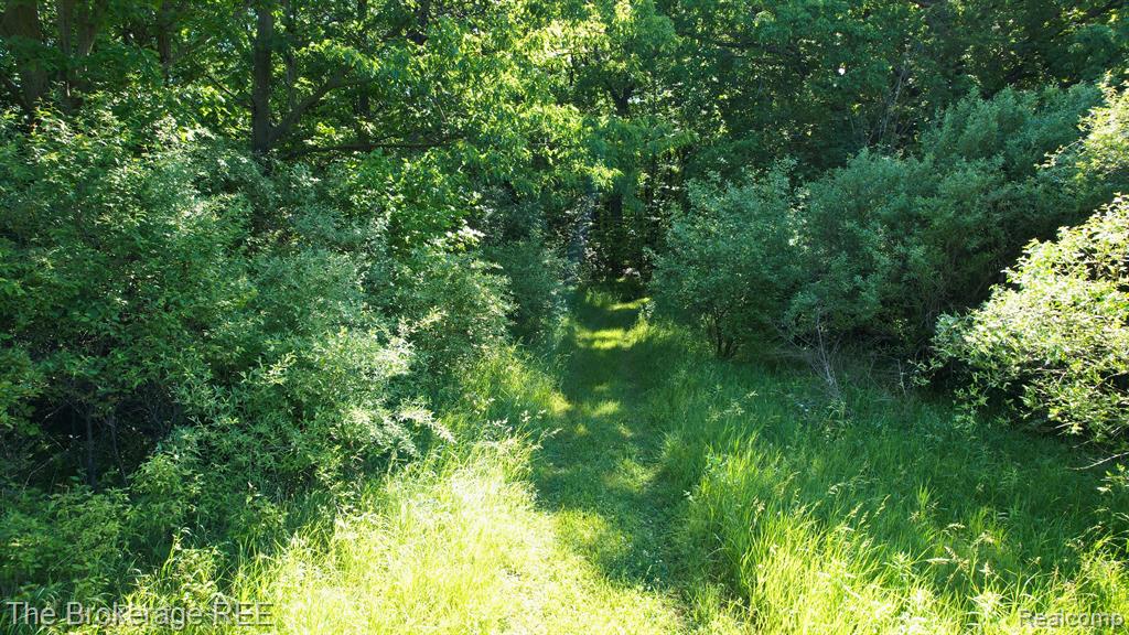 4077 ATLAS Road, Davison, MI 48423 — Photo 72