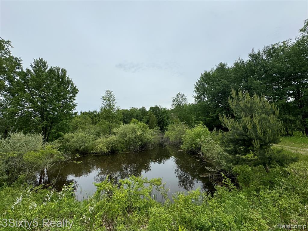 7710 10 Mile Road, Bitely, MI 49309 — Photo 8