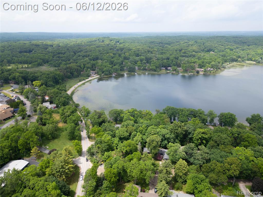 5831 Winans Drive, Brighton, MI 48116 — Photo 43