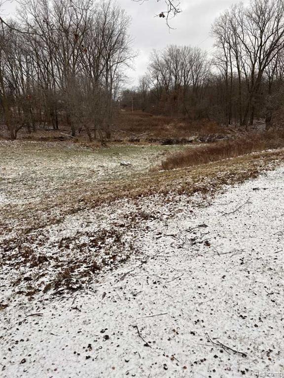 1450 PEET Road, New Lothrop, MI 48460 — Photo 26