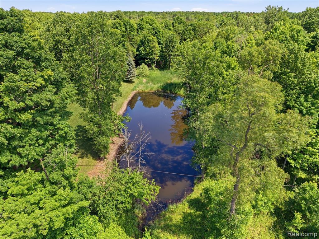 5449 Lum Road, Attica, MI 48412 — Photo 16