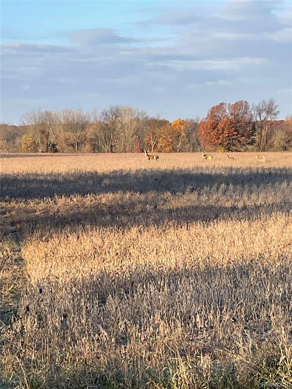 4020 Cohoctah Road, Linden, MI 48451 — Photo 44